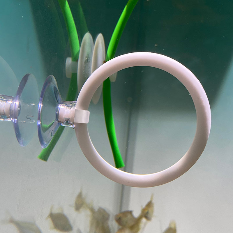 1個入り プラスチック製水槽用人工トレーニングリングフープセ - Gymnastic Ring のレビューと価格